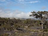 Big Island 064